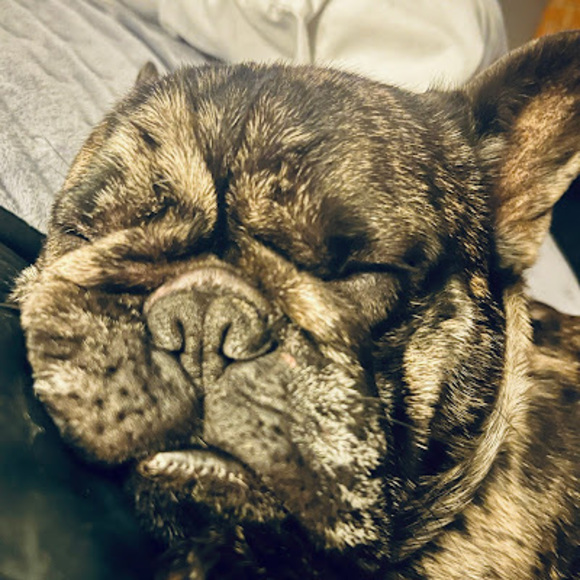 Meet your Posher, Joni - Picture 1 of 1